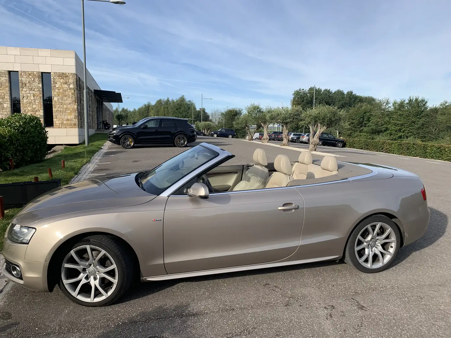 Audi A5 3.0 TDI q. Pro L. S Goud - 1