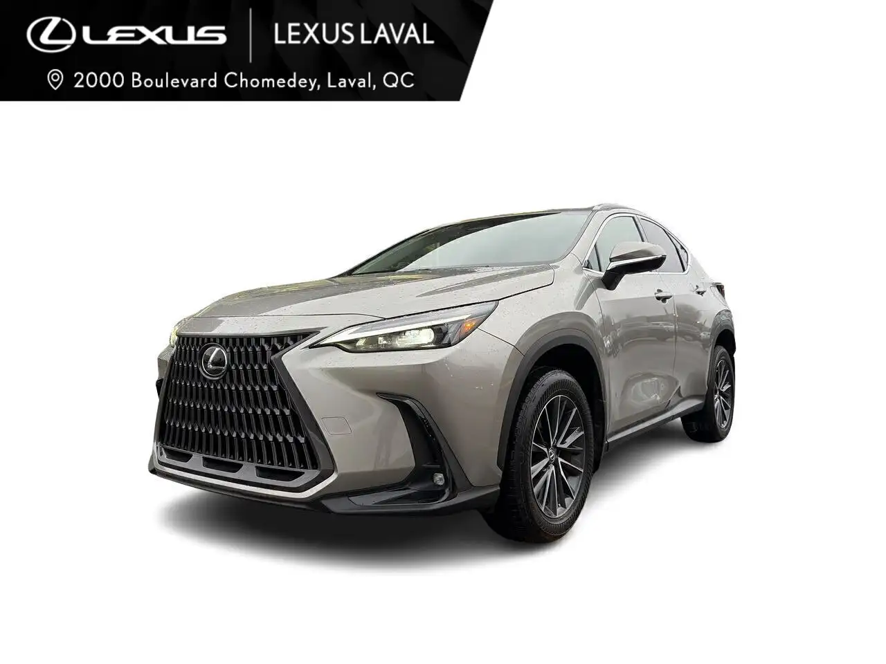 Lexus NX photo Lexus NX