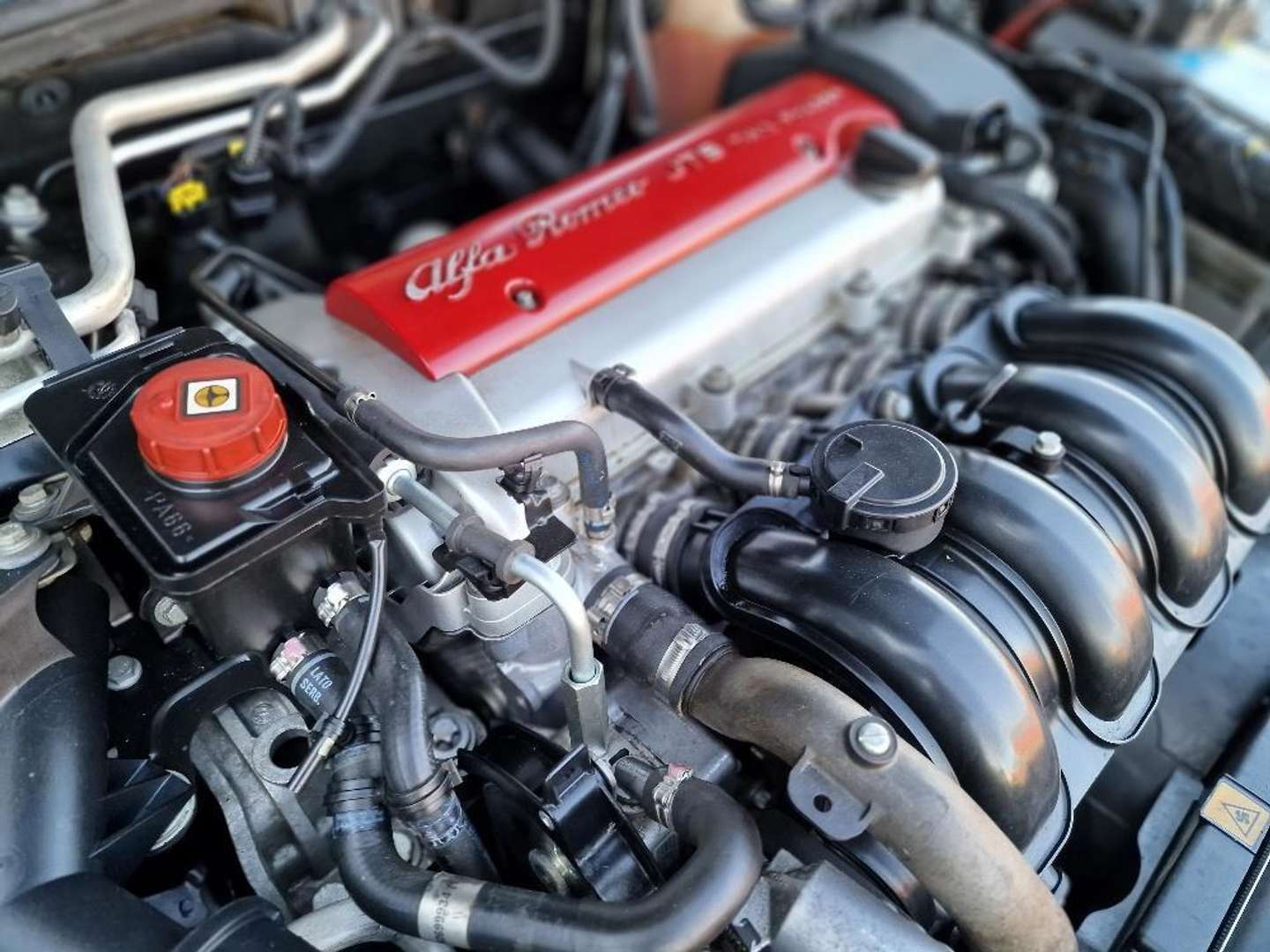 Alfa Romeo Spider afbeelding 19