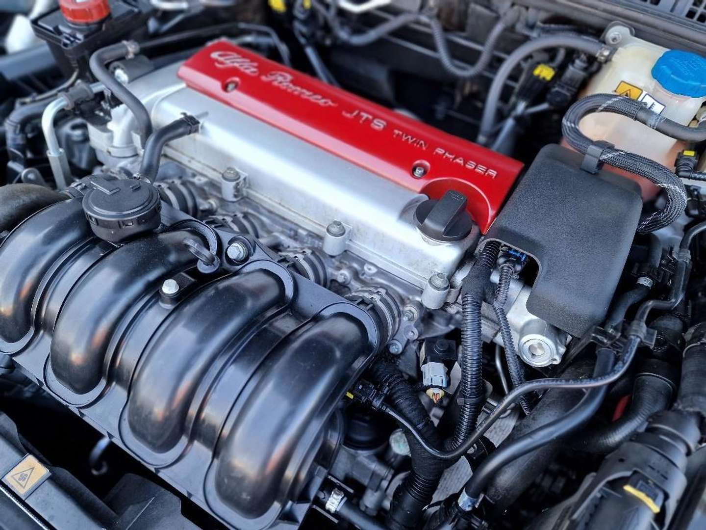 Alfa Romeo Spider afbeelding 20