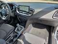 Kia Ceed / cee'd 1.5T 48V 6Gang Ultimate Edition Style-Paket Apple Silber - thumbnail 23