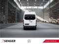 Mercedes-Benz Sprinter 314 CDI KA L2H2 4x4 Standhzg REGALE AHK Weiß - thumbnail 6