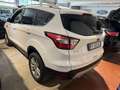 Ford Kuga 1.5 ecoboost Business s Bianco - thumbnail 4