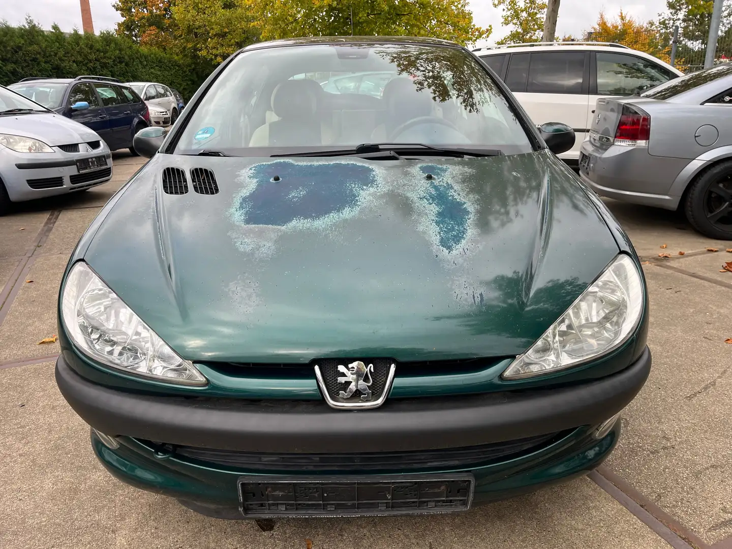 Peugeot 206 1.4 Roland Garros Leder Klima 1.Hand *kein Tüv* Vert - 2