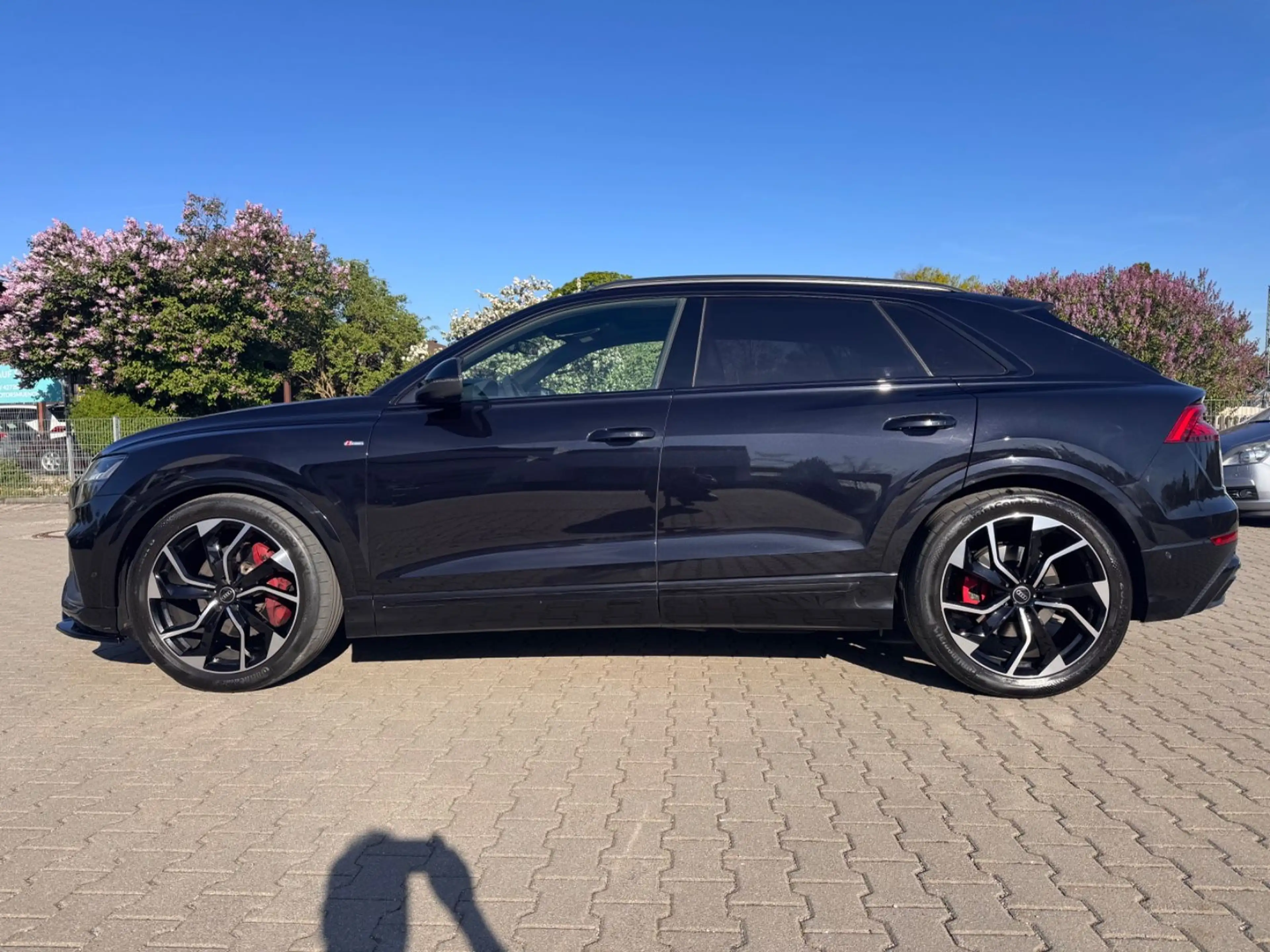 Audi Q8 50TDI quattro 3x S Line B&O Pano RAUTE Matrix — photo 10