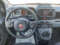 Fiat Panda 1.0 FireFly S&S Hybrid Verde - thumbnail 10
