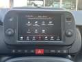 Fiat Panda 1.0 FireFly S&S Hybrid Verde - thumbnail 12