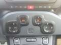 Fiat Panda 1.0 FireFly S&S Hybrid Verde - thumbnail 13
