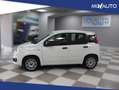 Fiat Panda 1.2 Easy Start&Stop Blanco - thumbnail 6