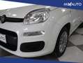 Fiat Panda 1.2 Easy Start&Stop Blanco - thumbnail 7