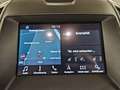 Ford Galaxy 2,0 EcoBlue SCR Business Aut. Weiß - thumbnail 12