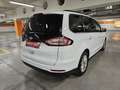 Ford Galaxy 2,0 EcoBlue SCR Business Aut. Weiß - thumbnail 6