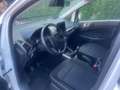 Ford EcoSport EcoSport 1.0 ecoboost Plus 100cv my20.25 Bianco - thumbnail 6
