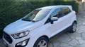 Ford EcoSport EcoSport 1.0 ecoboost Plus 100cv my20.25 Bianco - thumbnail 1