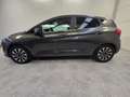 Ford Fiesta Fiesta 1.0 Ecoboost Hybrid 125 CV 5 porte Titanium Gris - thumbnail 6