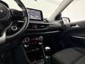Kia Picanto 1.0 DPi DynamicPlusLine | Carplay | Camera | Clima Weiß - thumbnail 13