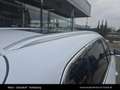 BYD Seal U DM-i Design AWD Weiß - thumbnail 16
