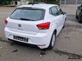 SEAT Ibiza Style 1.0TSI DSG LED NAV SHZ VisionPlus Navi Wit - thumbnail 3