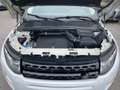 Land Rover Range Rover Evoque 2.0 td4 HSE Dynamic 150cv/unipro/rate/garanzia Bianco - thumbnail 15