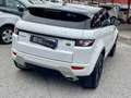 Land Rover Range Rover Evoque 2.0 td4 HSE Dynamic 150cv/unipro/rate/garanzia Bianco - thumbnail 8