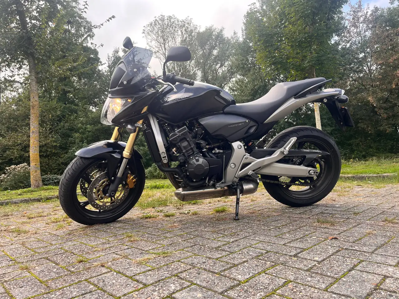 Honda Hornet
