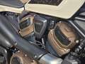 Harley-Davidson Sportster S 1250 Bianco - thumbnail 7
