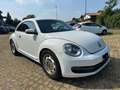 Volkswagen Maggiolino 1.8 tsi Sport 170cv dsg GPL - thumbnail 2