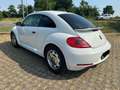 Volkswagen Maggiolino 1.8 tsi Sport 170cv dsg GPL - thumbnail 6
