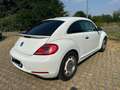 Volkswagen Maggiolino 1.8 tsi Sport 170cv dsg GPL - thumbnail 8