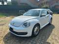 Volkswagen Maggiolino 1.8 tsi Sport 170cv dsg GPL - thumbnail 3