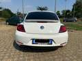 Volkswagen Maggiolino 1.8 tsi Sport 170cv dsg GPL - thumbnail 7