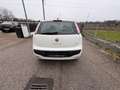 Fiat Grande Punto EVO Weiß - thumbnail 10