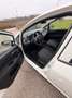 Fiat Grande Punto EVO Weiß - thumbnail 6