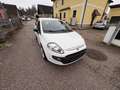 Fiat Grande Punto EVO Weiß - thumbnail 15