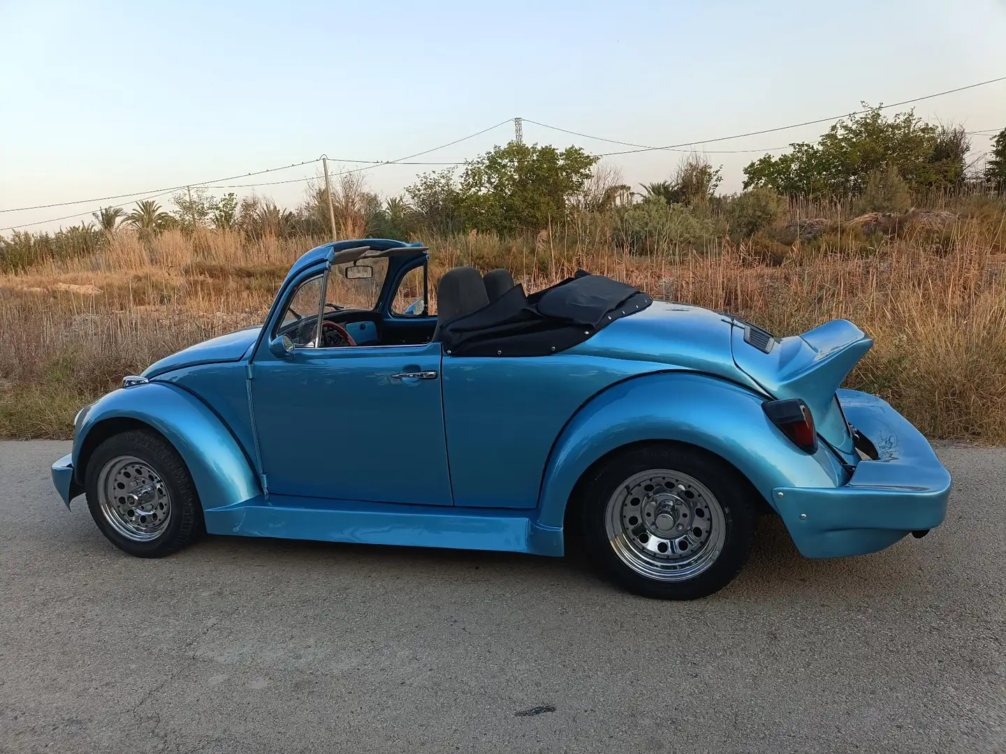 Volkswagen Escarabajo - 1