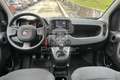 Fiat New Panda Panda 1.0 FireFly S&S Hybrid Rosso - thumbnail 10