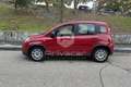 Fiat New Panda Panda 1.0 FireFly S&S Hybrid Rosso - thumbnail 8