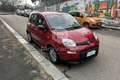 Fiat New Panda Panda 1.0 FireFly S&S Hybrid Rosso - thumbnail 3