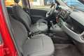 Fiat New Panda Panda 1.0 FireFly S&S Hybrid Rosso - thumbnail 14