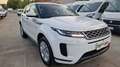 Land Rover Range Rover Evoque Range Rover Evoque 2.0D I4-L.150 CV AWD Auto SE Bianco - thumbnail 6