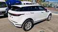 Land Rover Range Rover Evoque Range Rover Evoque 2.0D I4-L.150 CV AWD Auto SE Bianco - thumbnail 4