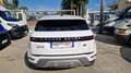 Land Rover Range Rover Evoque Range Rover Evoque 2.0D I4-L.150 CV AWD Auto SE Bianco - thumbnail 3
