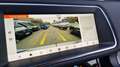 Land Rover Range Rover Evoque Range Rover Evoque 2.0D I4-L.150 CV AWD Auto SE Bianco - thumbnail 14