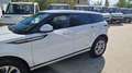 Land Rover Range Rover Evoque Range Rover Evoque 2.0D I4-L.150 CV AWD Auto SE Bianco - thumbnail 2