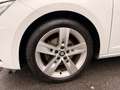 SEAT Leon 2.0 TDI FR 2.HD*LED*NAVI*LEDER*ALU*ZHNR NEU Weiß - thumbnail 7