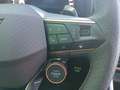 CUPRA 1.5 eTSI 110kW (150CV) DSG Tech Edition Gris - thumbnail 14