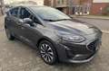 Ford Fiesta 1.0 EcoBoost Titanium Grijs - thumbnail 8