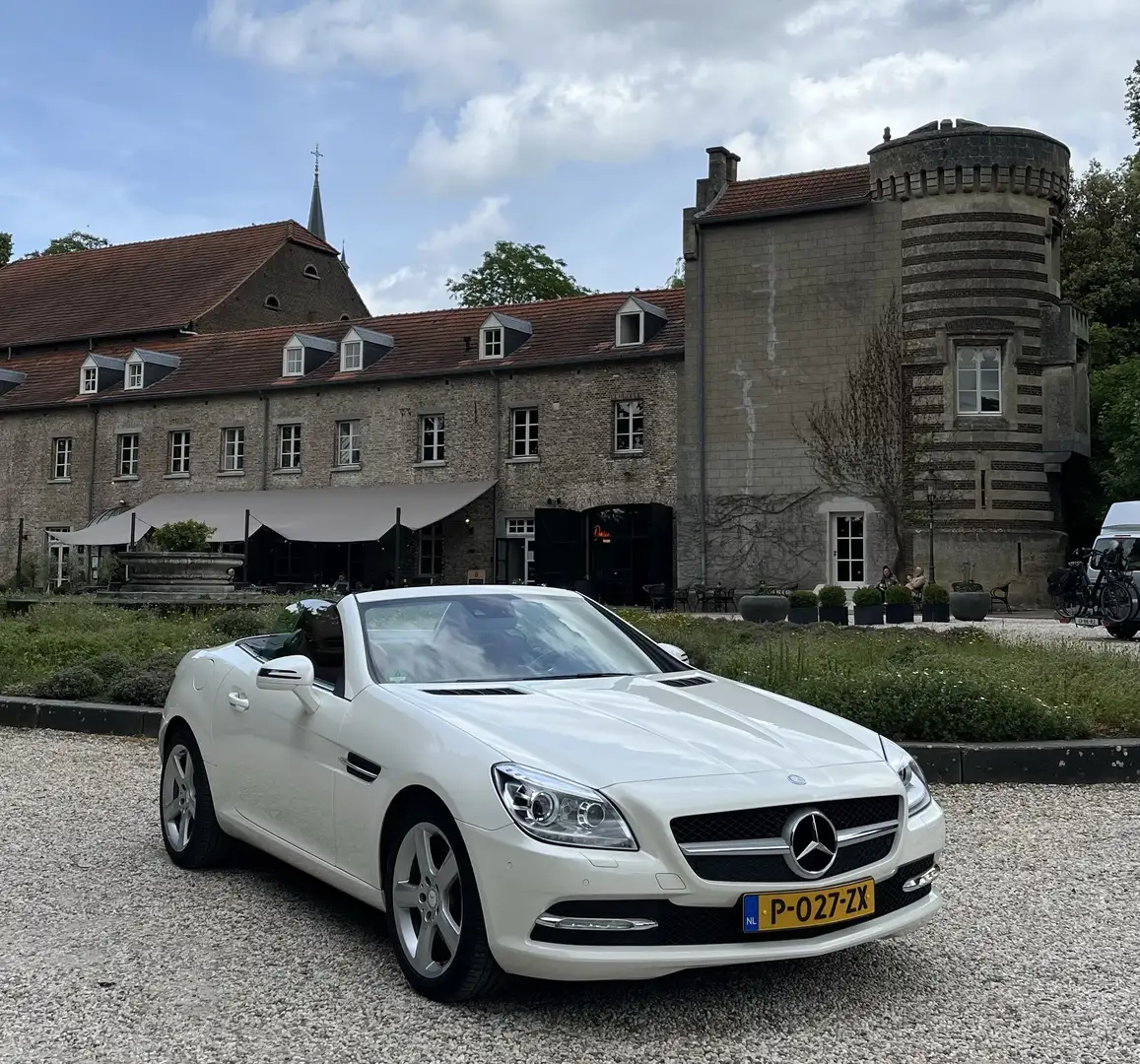 Mercedes-Benz SLK 250 LZAAA211 Білий - 1