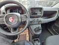 Fiat Panda 1.0 Hybrid-CITY-PACK+eFH-Radio DAB-PDC Weiß - thumbnail 6