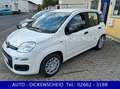 Fiat Panda 1.0 Hybrid-CITY-PACK+eFH-Radio DAB-PDC Weiß - thumbnail 2